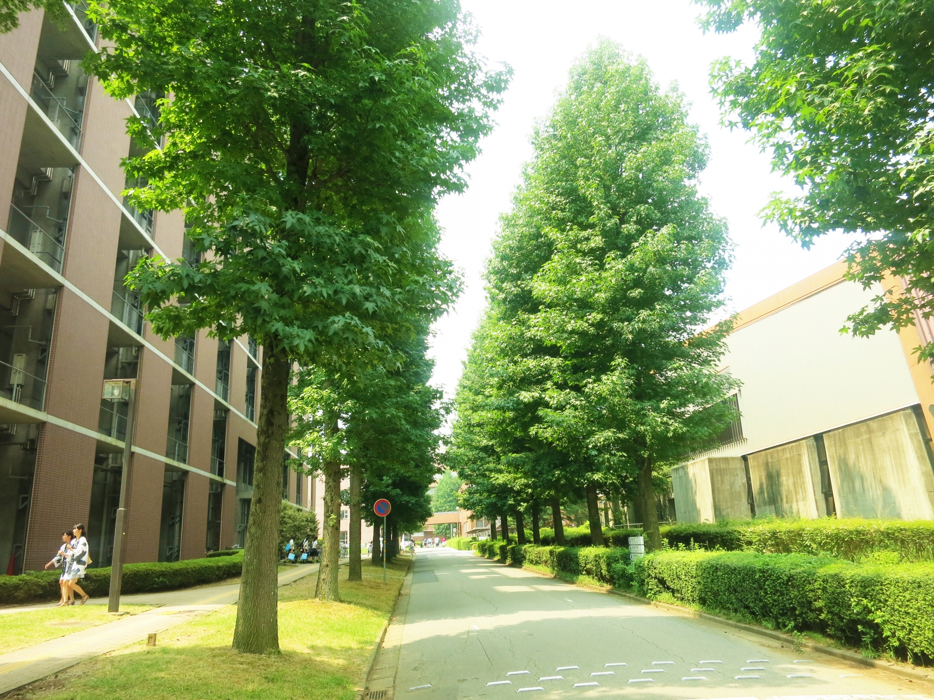 大学とのつながり、実はあったりする